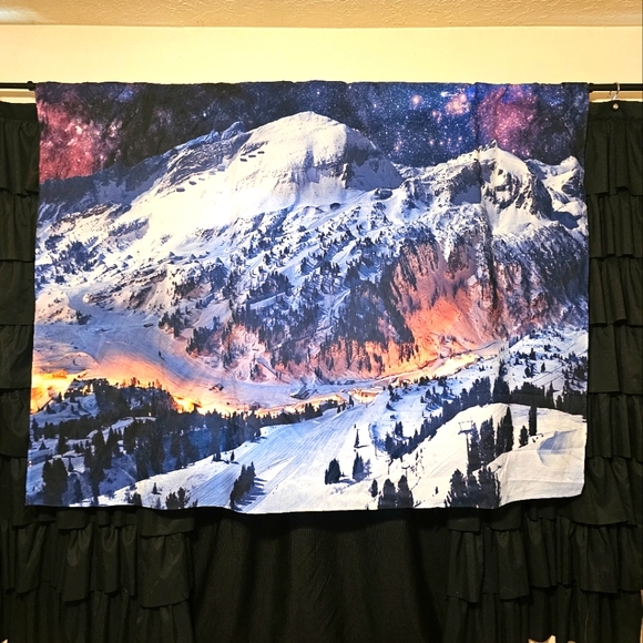 Tapestry - Picture 1 of 5